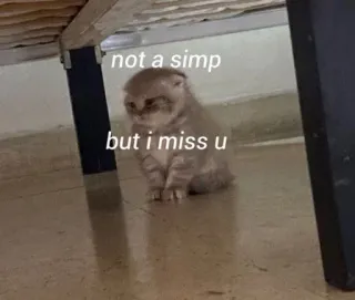 🥹 8ff32372 not a simp
but i miss u Katze, traurig, ich vermisse dich, Meme, Simp, Tier, Haustier telegram sticker