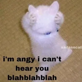 😡 ab32a7d2 i'm angy i can't hear you blahblahblah Katze, wütend, Meme, lustig, Kätzchen, Tier telegram sticker