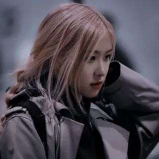 🌹 48c957bd Rose Rose, Blackpink, K-Pop, Penyanyi, Mode telegram sticker