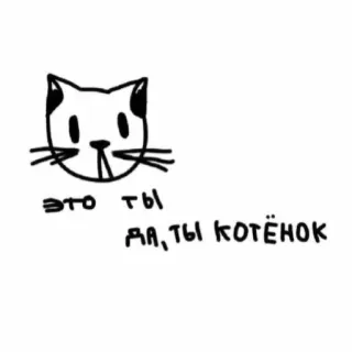 🤪 723042f5 ЭТО ТЫ ДА,ТЫ КОТЁНОК gato, gatito, lindo, animal, dibujo whatsapp sticker