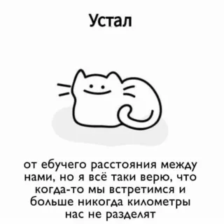 😔 811b1be6 Устал
от ебучего расстояния между
нами, но я всё таки верю, что
когда-то мы встретимся и
больше никогда километры
нас не разделят gato, cansado, distancia, amor, ruso whatsapp sticker