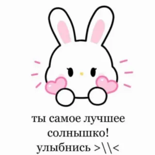 🐇 cc81c096 ты самое лучшее солнышко!
улыбнись >//< conejo, lindo, sano, corazón, kawaii, amor whatsapp sticker