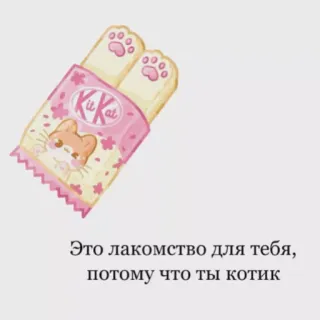 🐱 faf67031 Это лакомство для тебя, потому что ты котик Kit Kat, gato, golosina, lindo, dulce, postre whatsapp sticker