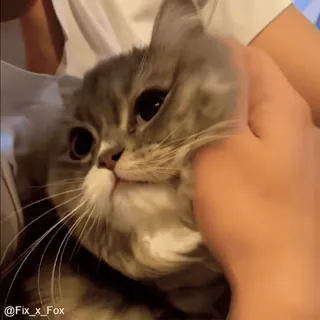 Больше стиков тут: @stikery4 whatsapp stickers