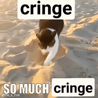 😨 f5e3d67e cringe SO MUCH cringe żenada, kot, mem, śmieszne, mem internetowy telegram sticker