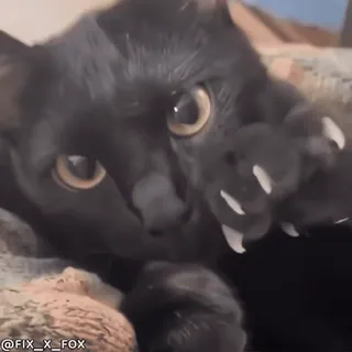 Больше стиков тут: @stikery4 telegram stickers