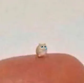 🤔 421bb6a1 ハムスター, 悲しい, 可愛い, 小さい, 動物, ペット, ミーム whatsapp sticker