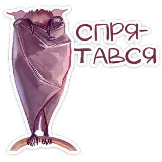 🫣 2b8dfca1 спря-ТАВСЯ 박쥐, 동물, 만화, 귀여운, 러시아, 숨기다 telegram sticker