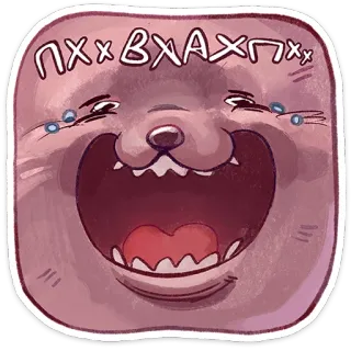 😂 3c965c6d пххвхахпхх cat, laughing, crying, animal, expression, emotions whatsapp sticker