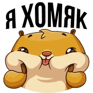 😜 b3b98025 Я ХОМЯК Hamster, Binatang, Lucu, Kocak, Kartun, Hewan pengerat telegram sticker