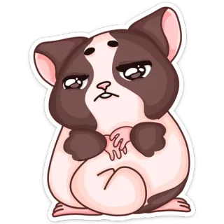 😢 b247b844 cochon d'Inde, animal, mignon, dessin animé telegram sticker