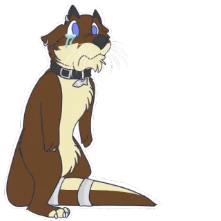 😭 3d7a195d nutria, animal, triste, dibujo animado, lágrima, venda, collar telegram sticker