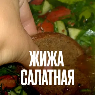 🥗 5381d3b7 ЖИЖА САЛАТНАЯ สลัด, อาหาร, รัสเซีย, อาหาร, จาน telegram sticker
