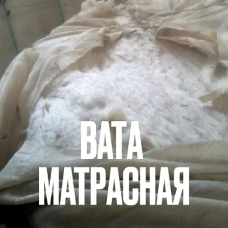 🛏 e98dcbe6 ВАТА
МАТРАСНАЯ ผ้าฝ้าย, ที่นอน, สิ่งทอ, วัสดุบรรจุ telegram sticker