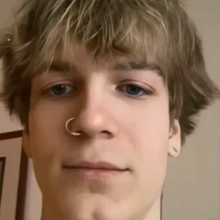 😐 2b7467cb 人物, ポートレート, 顔, 男性, 若い, 金髪, 男 telegram sticker