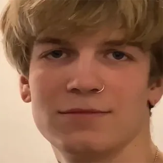 надежды русского репа telegram stickers