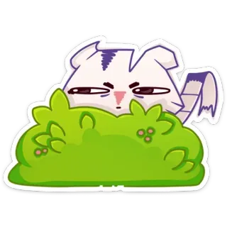 👀 1cf1ccf6 kot, zwierzę, krzak, słodki, naklejka telegram sticker