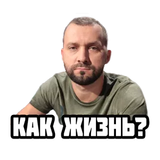 ❓ 19622a06 КАК, ЖИЗНЬ? man, portrait, russian, greeting, question, how are you telegram sticker