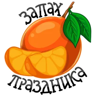 🍊 9891d188 запах праздника orange, fruit, holiday, celebration, aroma telegram sticker