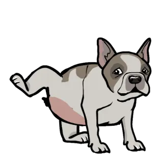 🐶 72185156 chien, animal, animal de compagnie, dessin animé, bouledogue français, dessin, autocollant telegram sticker