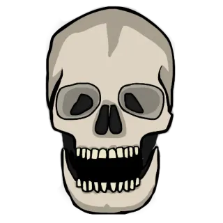 💀 bd760f83 crâne, squelette, mort, os, anatomie, halloween, effrayant telegram sticker