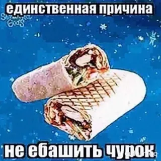 🤨 15ae11e5 единственная причина не ебашить чурок Comida, Shawarma, Ruso, Ofensivo, Insulto telegram sticker