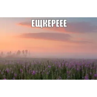 🗣️ c7f56019 ЕЩКЕРЕЕЕ campo, puesta de sol, paisaje, flores moradas, niebla, ЕЩКЕРЕЕЕ telegram sticker