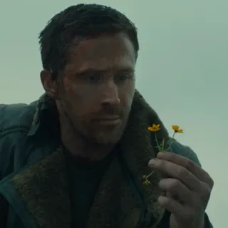 Ryan Gosling @JakeGyllen telegram stickers