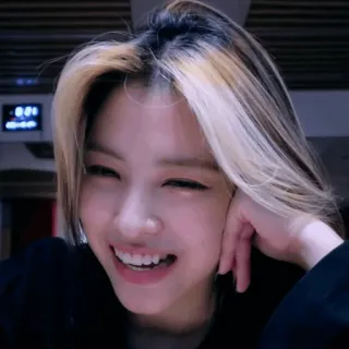 🪁 6f9f5131 whatsapp sticker