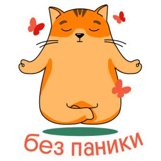 ✨ c3658e7b Без паники кот, медитация, йога, бабочка, спокойствие, расслабление, без паники, дзен telegram sticker