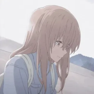 ➖ 46611049 whatsapp sticker