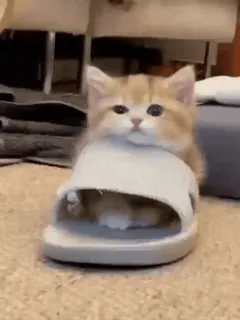 join ⦁ @MeSori_Bot telegram stickers