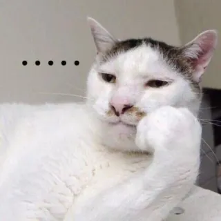 😑 5dda73fb chat, pensif, mème, drôle, animal, animal de compagnie whatsapp sticker