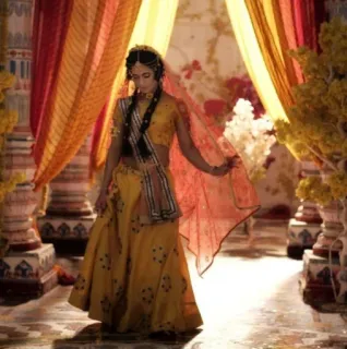 🚶‍♀ c0696d0c indian clothing, traditional dress, ethnic wear, woman, lehenga, bride, indian culture telegram sticker