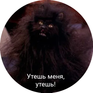 😣 09615733 Утешь меня, утешь! mèo, mèo đen, nga, thú cưng, động vật telegram sticker