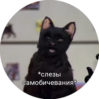 😓 28d58f03 *слезы самобичевания* mèo, mèo đen, khóc, động vật, buồn telegram sticker