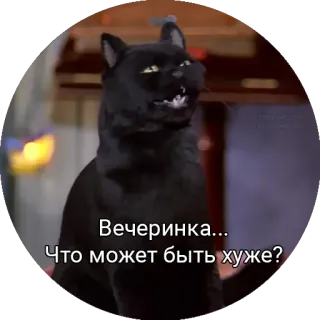 😐 28e74579 Вечеринка... Что может быть хуже? mèo, mèo đen, tiệc, nga, meme telegram sticker
