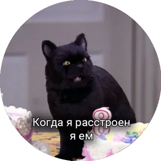 🍖 2f0ca209 Когда я расстроен я ем mèo, đồ ăn, buồn bã, ăn, động vật telegram sticker