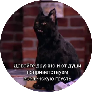 🙌 35248a5d Давайте дружно и от души поприветствуем вселенскую грусть mèo, mèo đen, buồn, meme telegram sticker