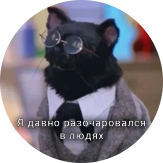 🫥 6c8dbd6c Я давно разочаровался в людях telegram sticker