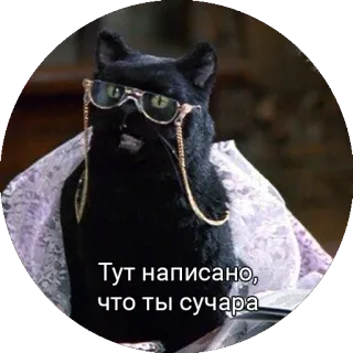 Кот Салем telegram stickers