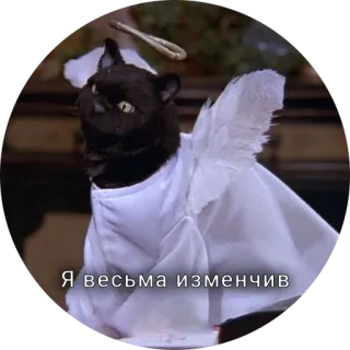 🥸 a83f1756 Я весьма изменчив mèo, thiên thần, đôi cánh, hài hước, động vật telegram sticker