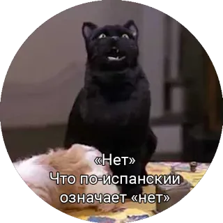 Кот Салем telegram stickers