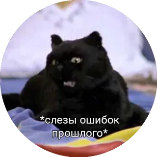 Кот Салем telegram stickers