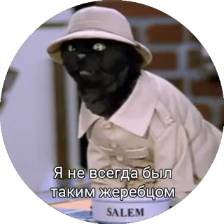 Кот Салем whatsapp stickers