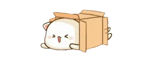 😂 43f21884 chat, boîte, mignon, kawaii, dessin animé, animal telegram sticker
