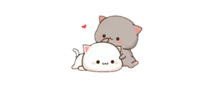 😌 ca36d301 amour, couple, mignon, chats, coeur telegram sticker