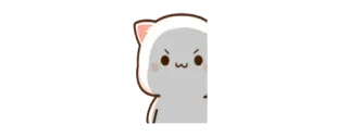 😼 ecb817c2 en colère, chat, mème, mignon, animal telegram sticker