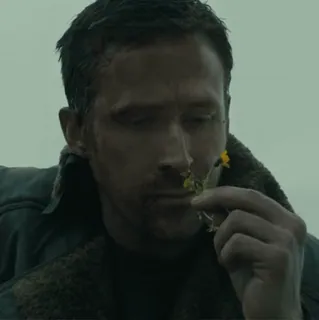 SAD | @tiltd @stickswik telegram stickers