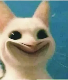 😂 46b5adcd cat, meme, funny, animal, white cat, smiling cat telegram sticker